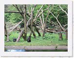 Dierentuin Burgers  Zoo 033 * 3648 x 2736 * (7.2MB)